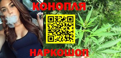 твердый Будённовск