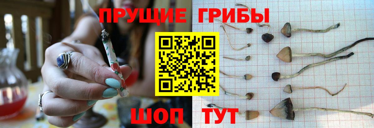 Псилоцибиновые грибы Magic Shrooms Кудрово