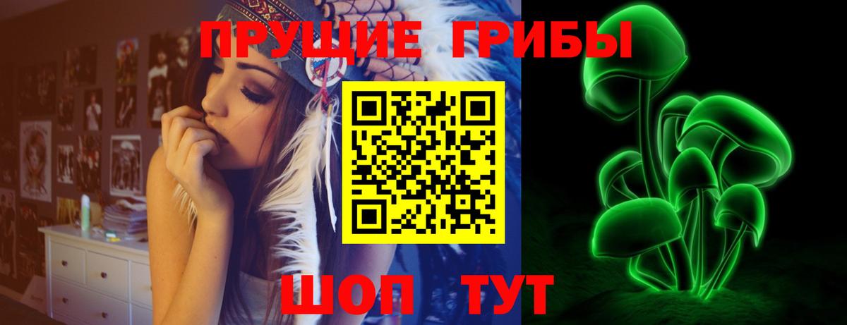 Галлюциногенные грибы прущие грибы  Вход с VPN  купить наркотики цена  Кудрово 